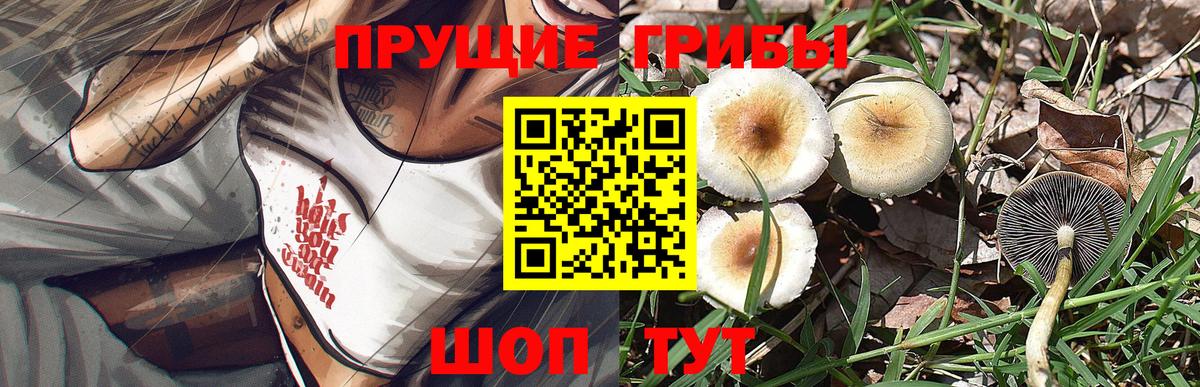 купить наркотик  Вход с VPN  Благовещенск  Галлюциногенные грибы Magic Shrooms 